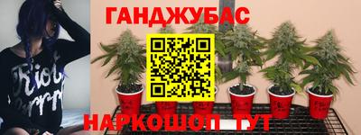 дмт Новодвинск