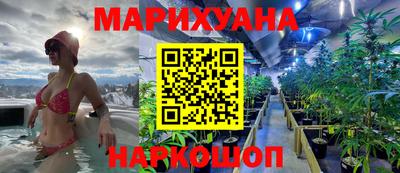 дмт Новодвинск