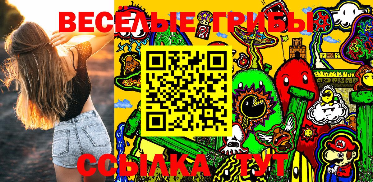 Псилоцибиновые грибы Psilocybe Рыбинск